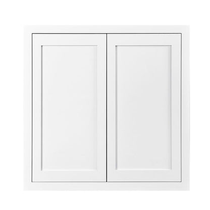 D1-W3039 Snow White Wall Cabinet 30" x 39"